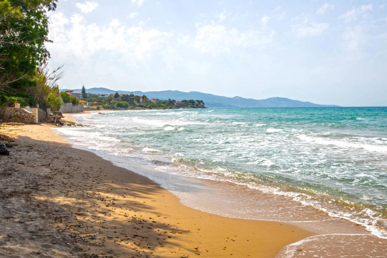 Villa Gousetis On The Beach Psarou  Exterior foto